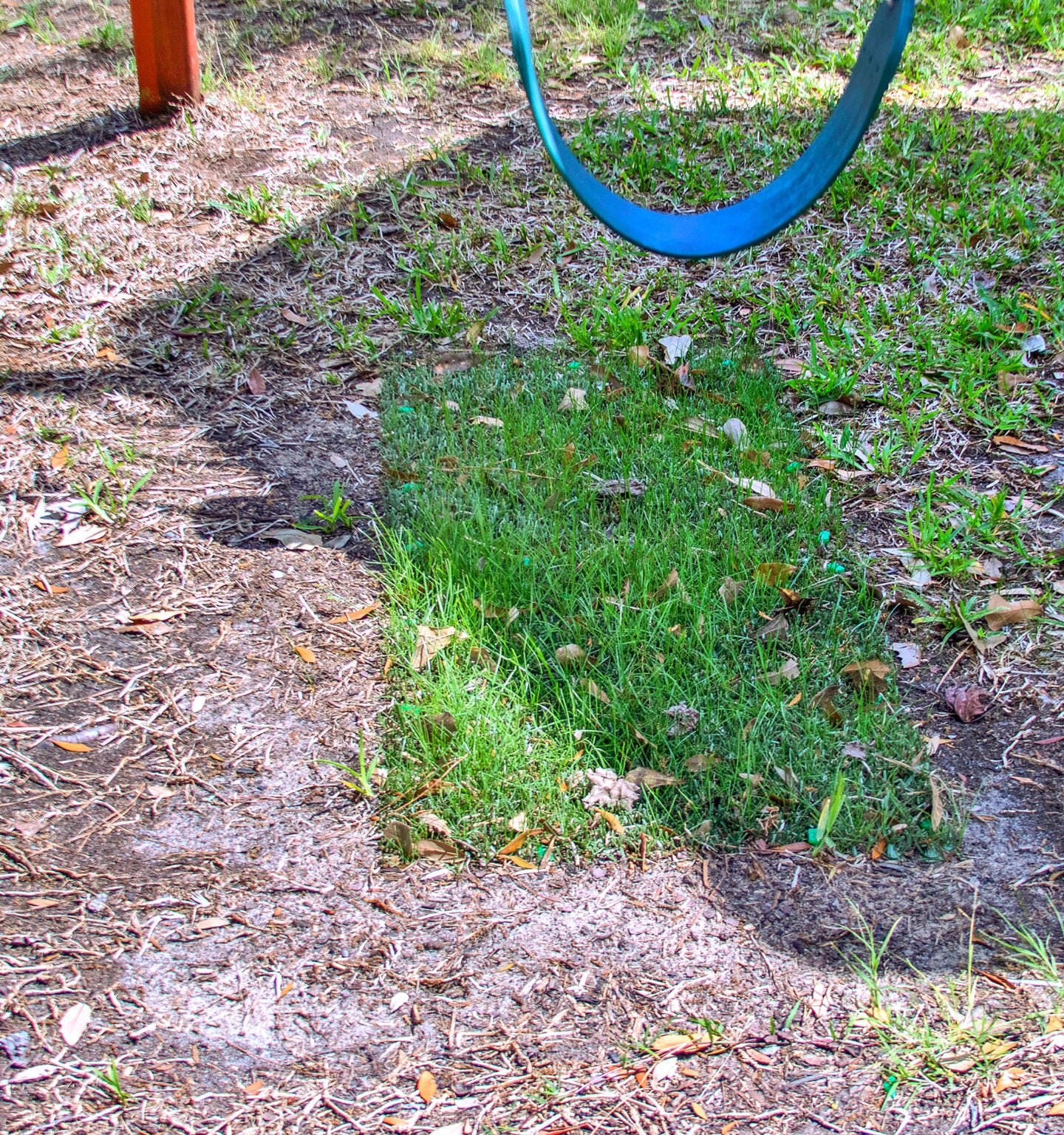 Shieldscape Hybrid Turf