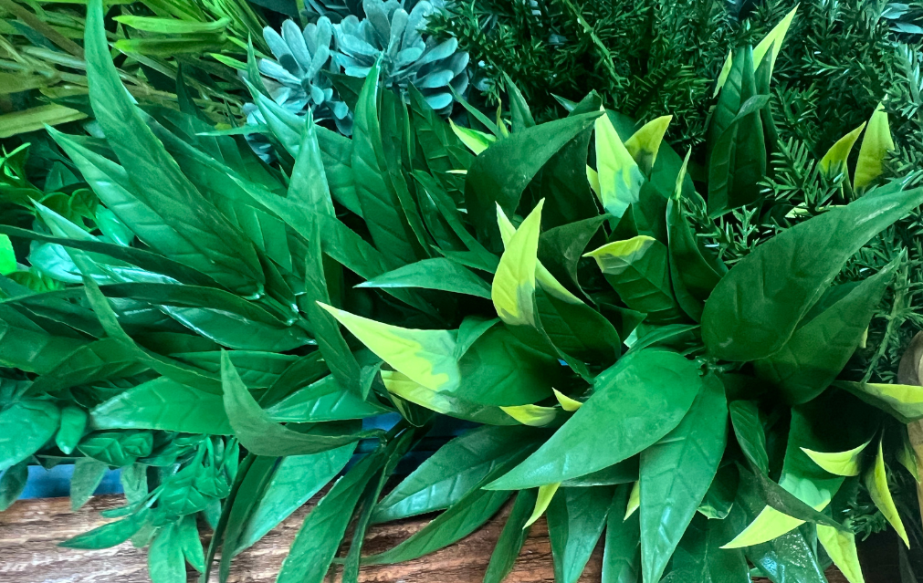 Stay Fresh Annual Artificial Green Wall, Plant or Planter Cleaning Package