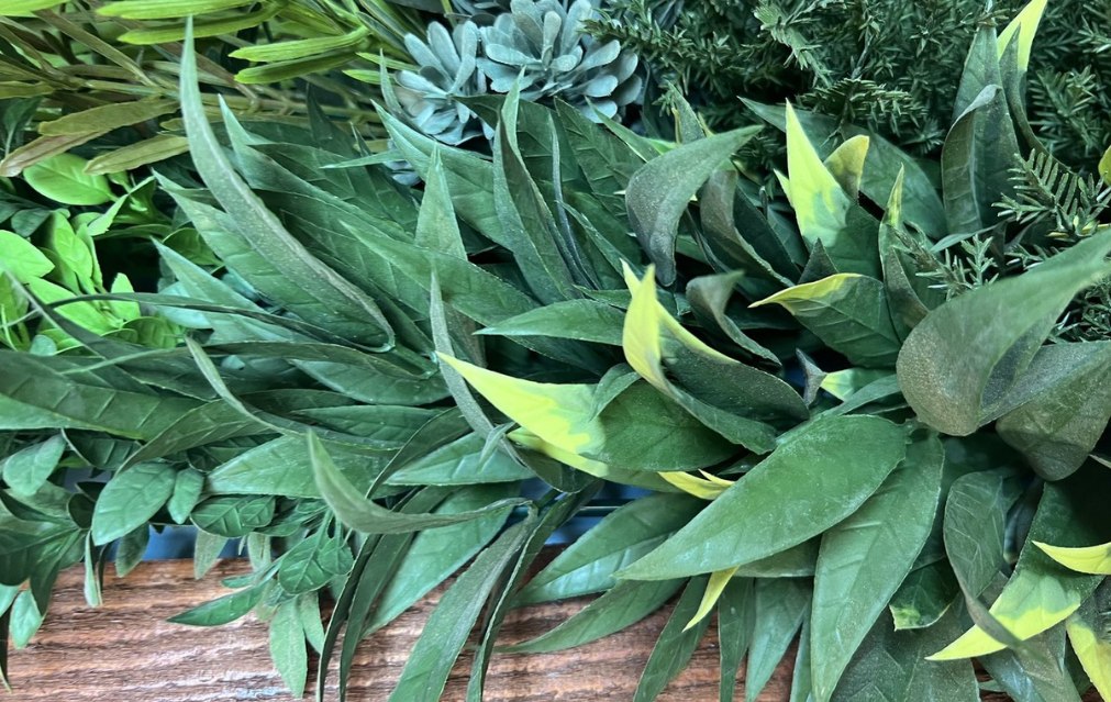 Dust RX - Artificial Plant Cleaner