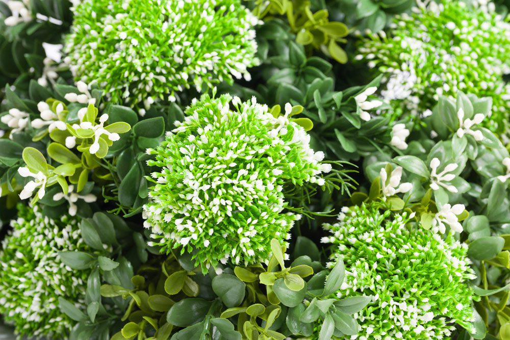 WHITE: GREEN WALL CUSTOMIZATION KIT