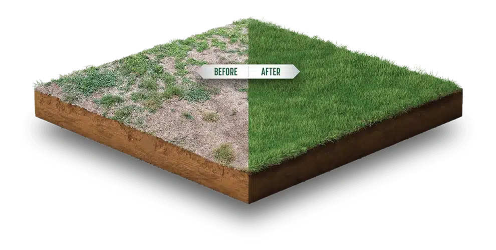 Shieldscape Hybrid Turf