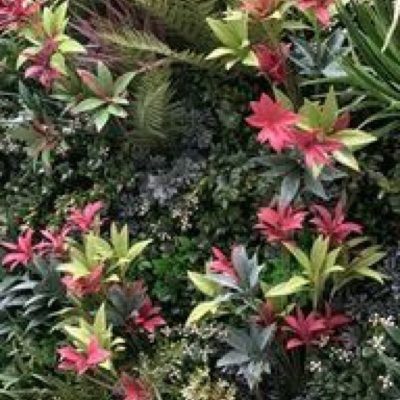 Indoor/Outdoor Siren Red Artificial Green Wall Customization & Finishing Kit