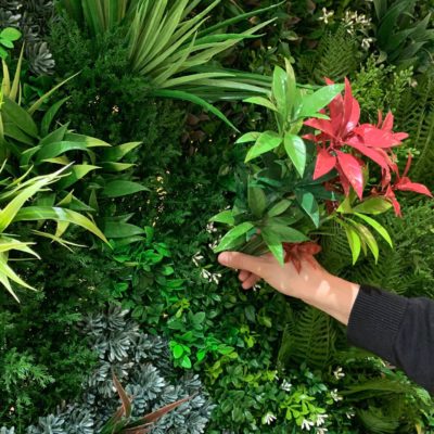 Indoor/Outdoor Siren Red Artificial Green Wall Customization & Finishing Kit