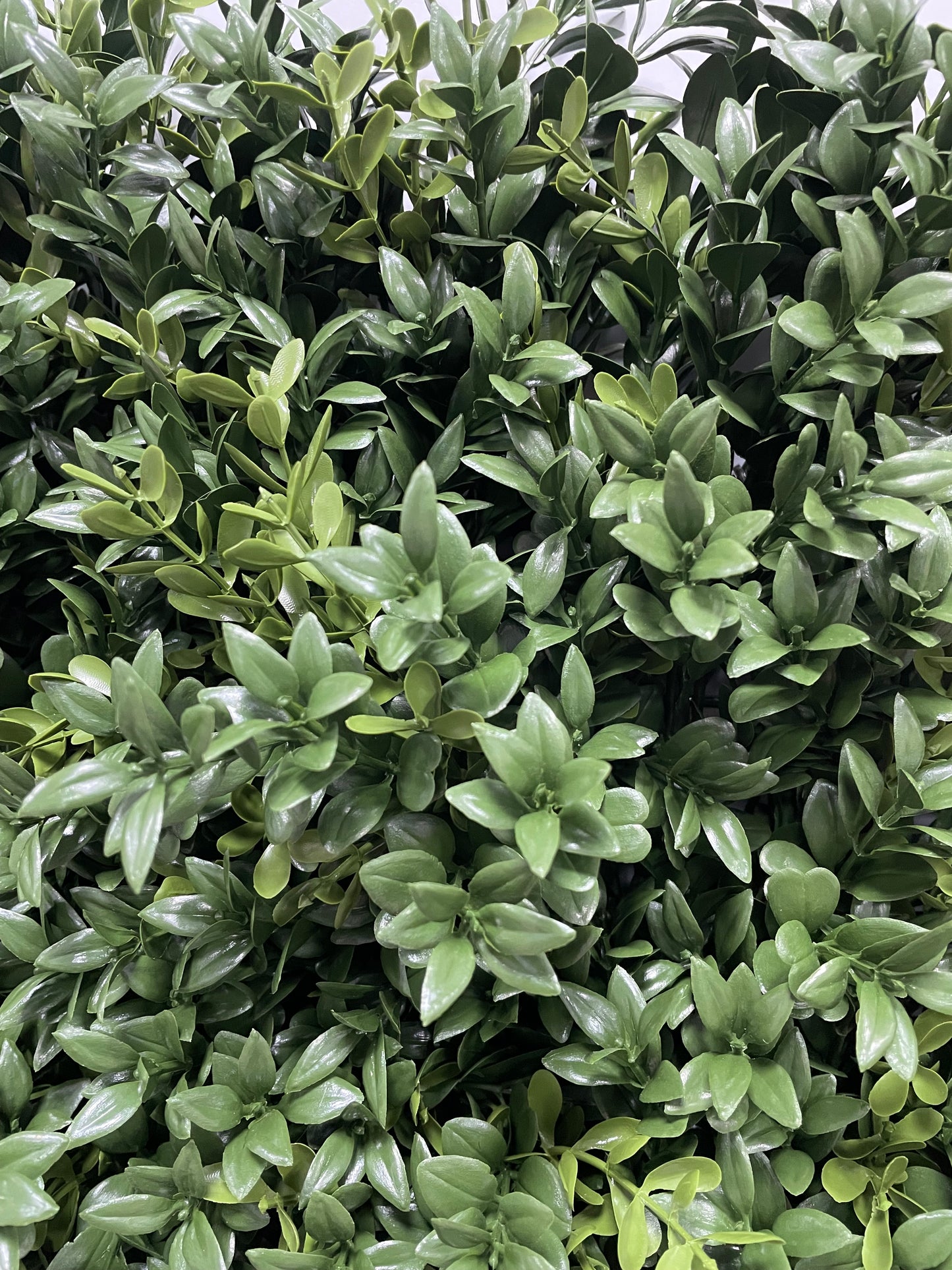 Artificial Luxury Buxus Wall on Stainless Steel Grid
