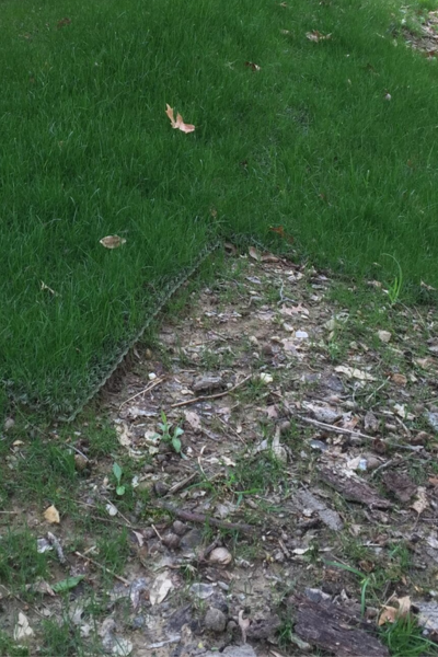 Shieldscape Hybrid Turf
