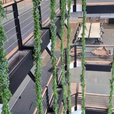 Indoor/Outdoor Trailing Buxus Artificial Green Wall Customization & Finishing Kit