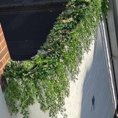 Indoor/Outdoor Trailing Buxus Artificial Green Wall Customization & Finishing Kit