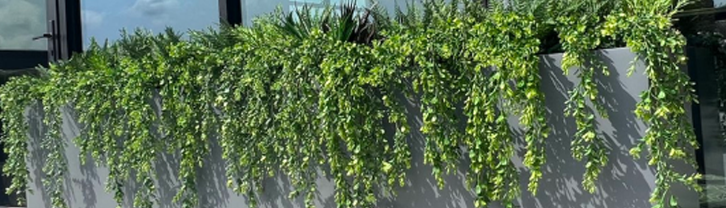 Indoor/Outdoor Trailing Buxus Artificial Green Wall Customization & Finishing Kit