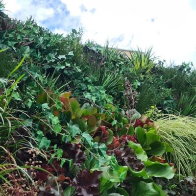 Indoor/Outdoor Ivy Artificial Green Wall Customization & Finishing Kit