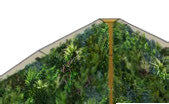 Foliascreen Standard Size 51.38"h x 32.51"w