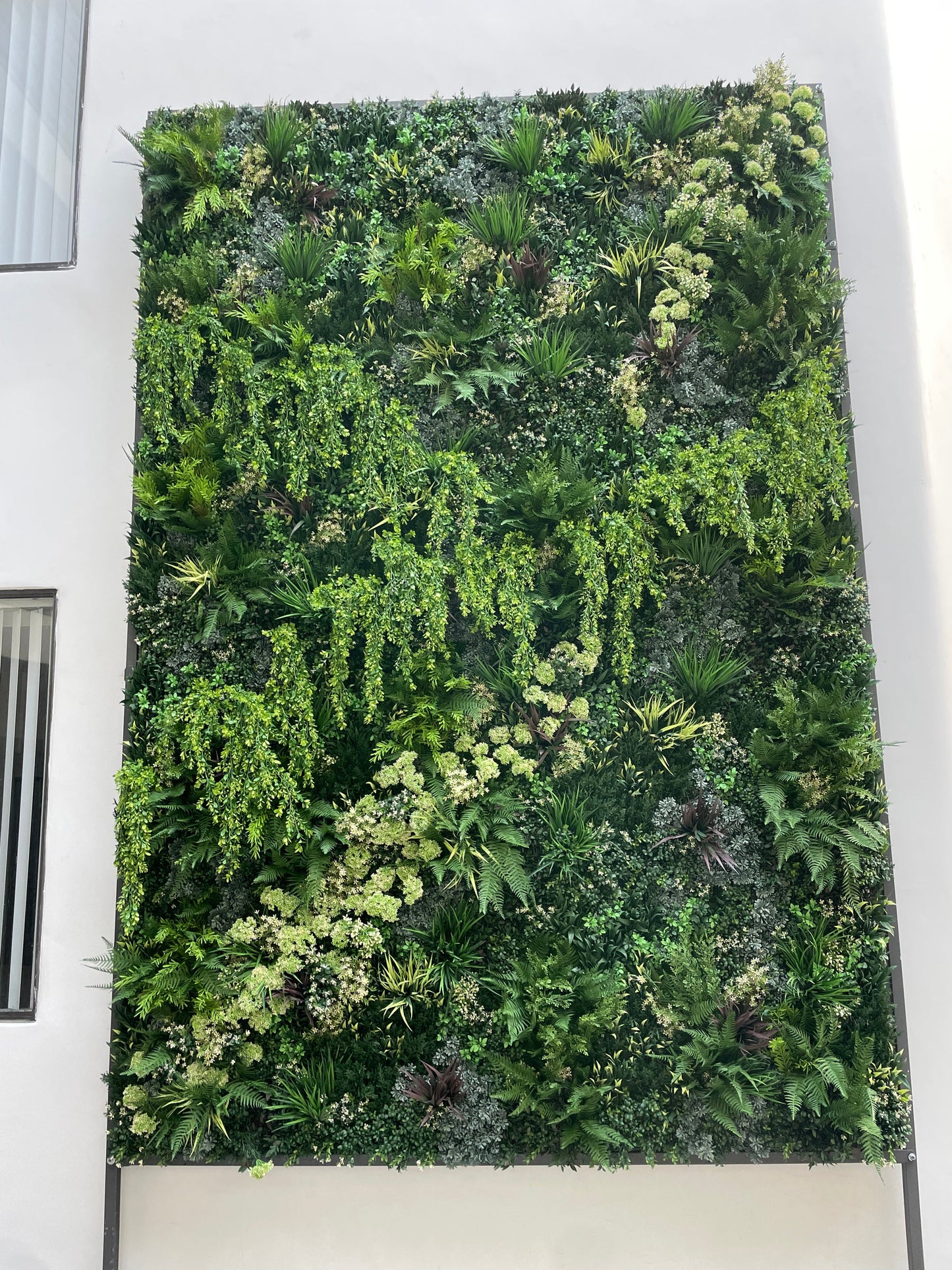 Stay Fresh Semi-Annual Artificial Green Wall, Plant or Planter Cleaning Package