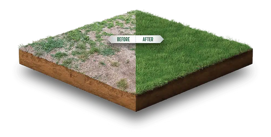 Shieldscape Hybrid Turf
