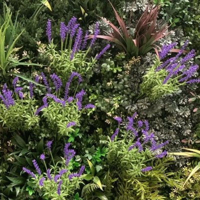 Indoor/Outdoor Lavendar Artificial Green Wall Customization & Finishing Kit